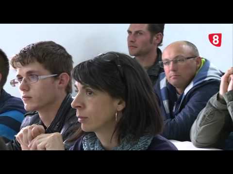 CAMPO SALMANTINO Nº 85