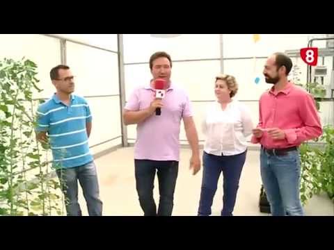 CAMPO SALMANTINO Nº 73