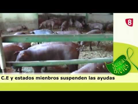 CAMPO SALMANTINO Nº 62