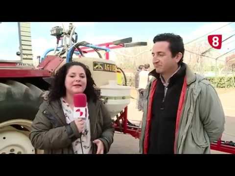 CAMPO SALMANTINO Nº 56