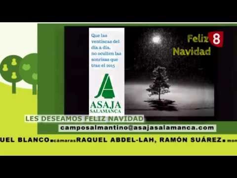 CAMPO SALMANTINO Nº 44