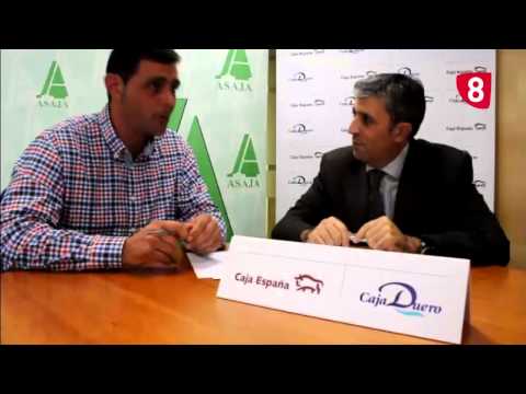 CAMPO SALMANTINO Nº 36