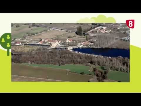 CAMPO SALMANTINO Nº 24