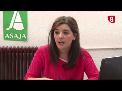 CAMPO SALMANTINO Nº 22