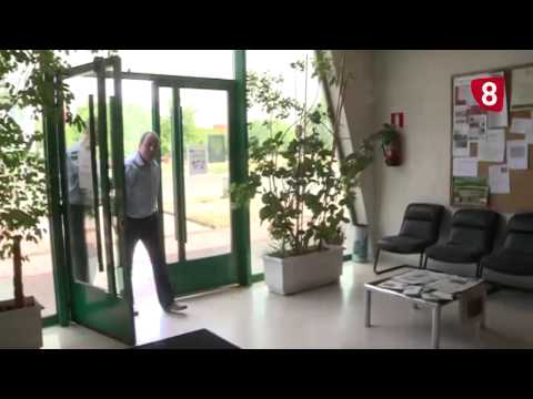 CAMPO SALMANTINO Nº 21