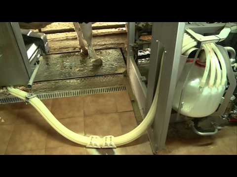 Campo Salmantino Nº 12