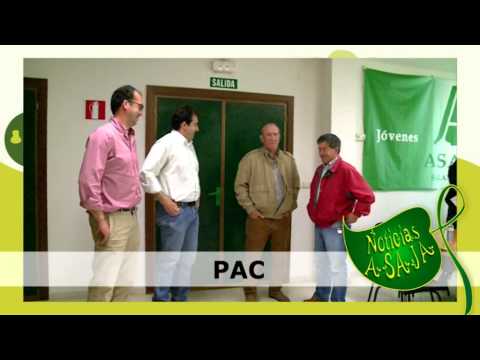 Campo Salmantino. Nº 11