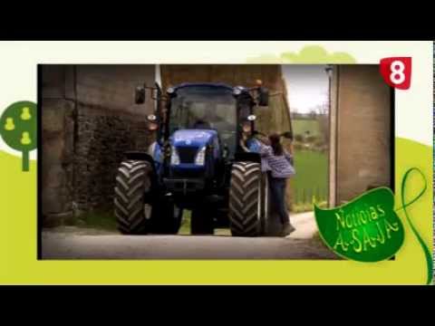 CAMPO SALMANTINO Nº 3