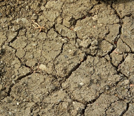 Las opas de Salamanca pedirán apoyo real para el sector por los daños de la sequía