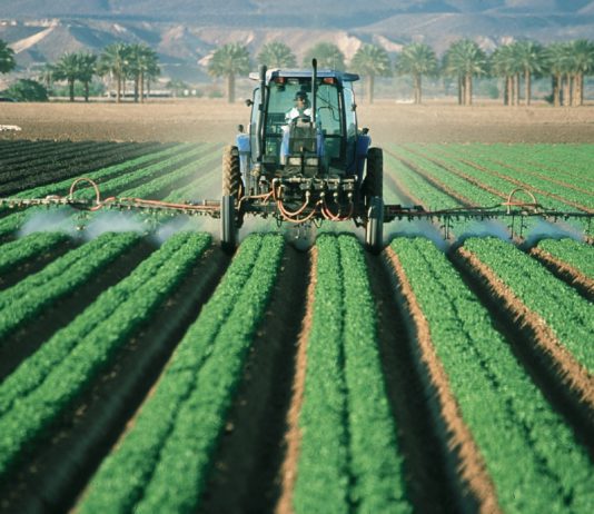 ASAJA pide estabilidad de rentas y mercados ante la incertidumbre política y presupuestaria