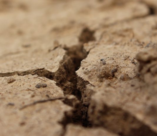 ASAJA Salamanca presenta a la Junta una veintena de préstamos denegados por los bancos