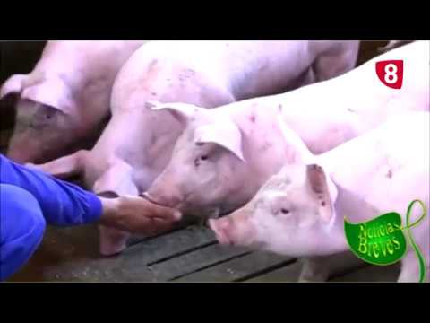 Campo Salmantino 188