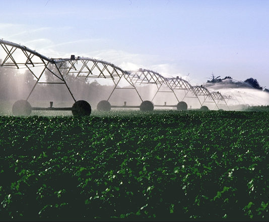 La mesa de la sequía advierte que la falta de agua en el Duero sigue siendo preocupante