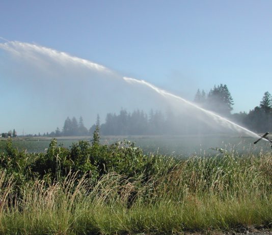 ASAJA Salamanca reclama la aplicación urgente del cambio de tarifa eléctrica para regantes