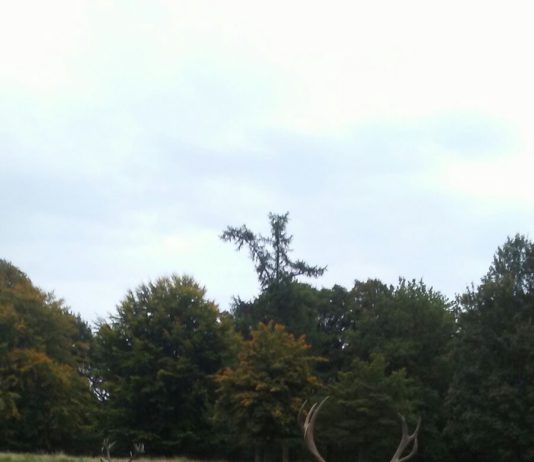 ASAJA Salamanca se une a la concentración de cazadores Ciervos. Foto: ASAJA Salamanca