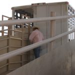 Arranca el curso de bienestar animal