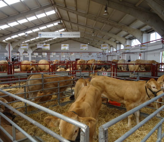 Lonja Agropecuaria de Salamanca del 16 de julio de 2018
