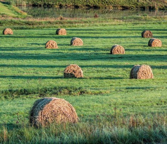 Lonja Agropecuaria de Salamanca del 2 de julio de 2018