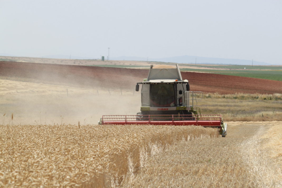 Labores durante la cosecha de cereales, en una explotación salmantina. Foto: ASAJA Salamanca.