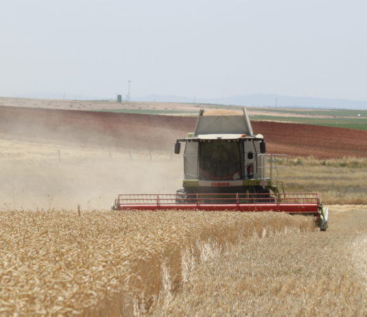 ASAJA pide apoyos para que una mala comercialización no arruine las expectativas de una buena cosecha Labores durante la cosecha de cereales, en una explotación salmantina. Foto: ASAJA Salamanca.