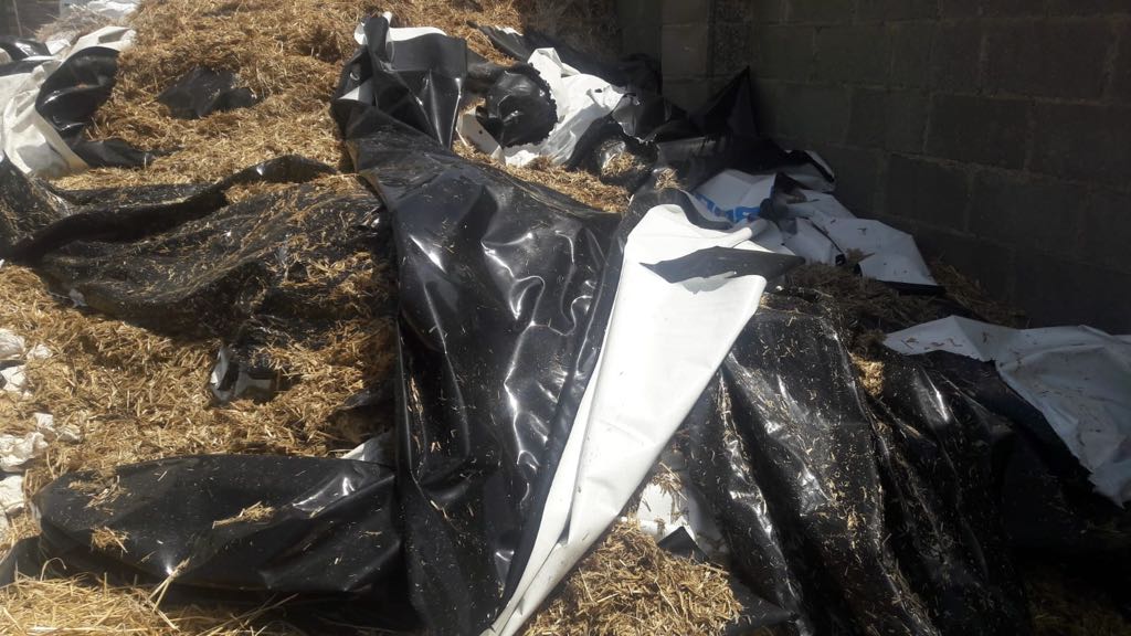 Plásticos, en una tierra de la provincia salmantina. Foto: ASAJA Salamanca. Plásticos, en una tierra de la provincia salmantina. Foto: ASAJA Salamanca.