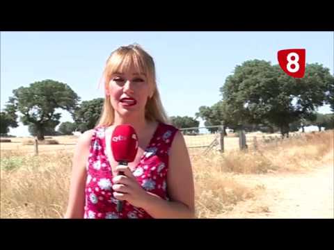 Campo Salmantino 217