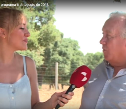 Campo Salmantino 215