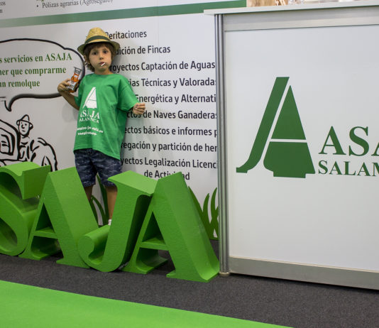 “En Navidad compra lo mejor, compra lo nuestro”