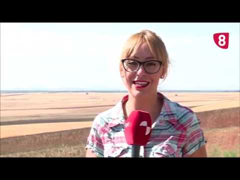 Campo Salmantino 222