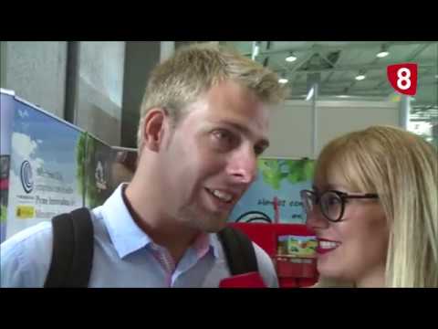 Campo Salmantino 221