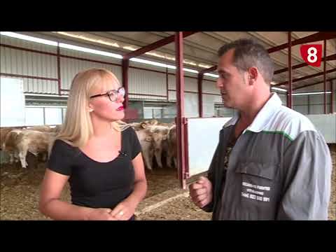 Campo Salmantino 219