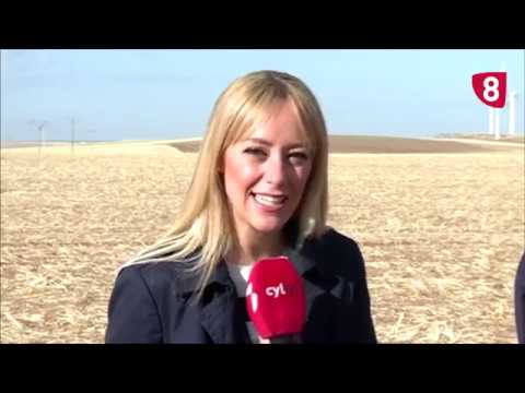 Campo Salmantino 225