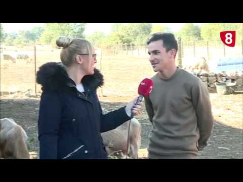 Campo Salmantino 227