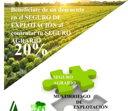 Condiciones especiales al contratar un seguro de explotación