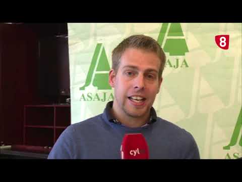 Campo salmantino 234