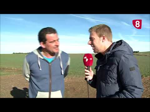 Campo Salmantino 233