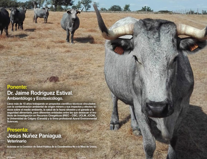 WhatsApp Image 2019-01-10 at 14.52.04