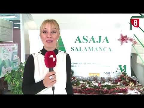 Campo Salmantino 236