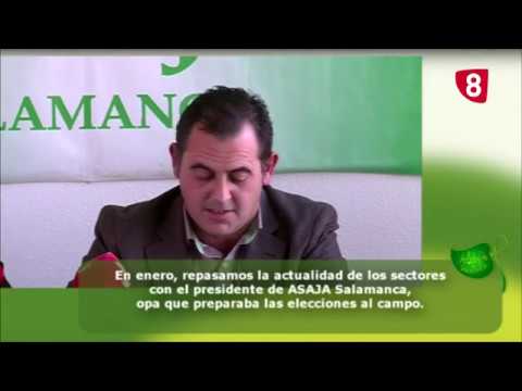 Campo Salmantino 235