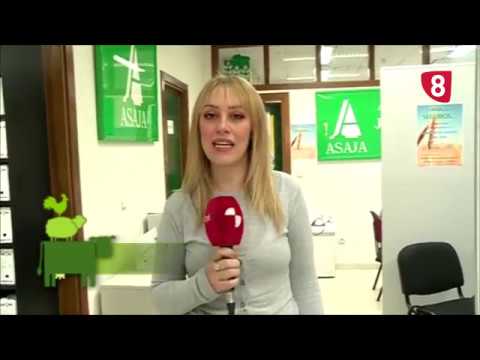 Campo Salmantino 240