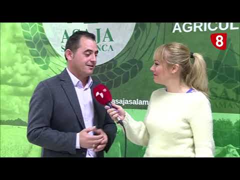 Campo Salmantino 237