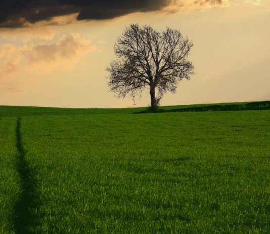 ASAJA pide que se prorroguen los programas agroambientales hasta enlazar con la nueva pac