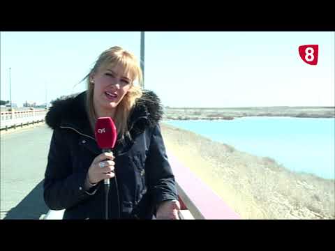 Campo Salmantino 242