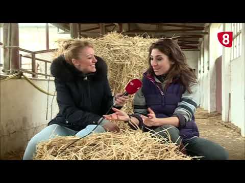 Campo Salmantino 243