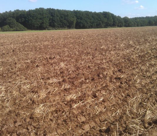 ASAJA pide a la Junta que abone las ayudas a los intereses de préstamos de la sequía de 2017