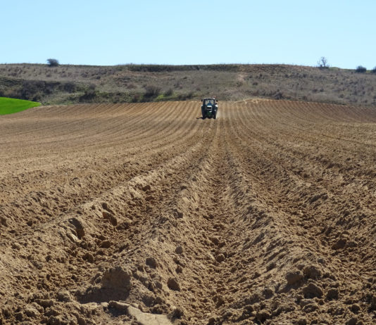 ASAJA pide a los partidos que garanticen estabilidad y futuro para el sector agrario y ganadero Un agricultor, preparando el terreno para la siembra de patata en el campo salmantino. FOTO: ASAJA Salamanca.