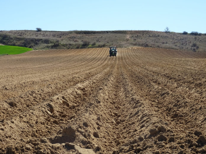 Un agricultor, preparando el terreno para la siembra de patata en el campo salmantino. FOTO: ASAJA Salamanca.