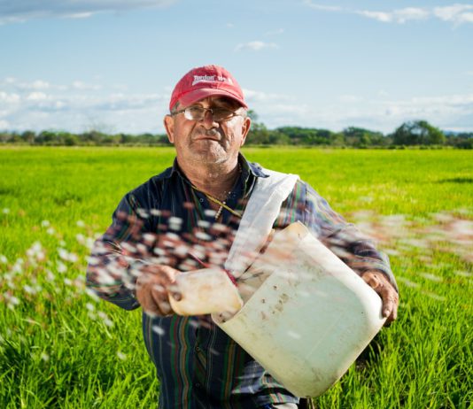 Los agricultores con opción a cese anticipado continuarán recibiendo ayudas