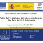 Ecopionet lanza un taller de herbáceos extensivos en ecológico el 4 de junio