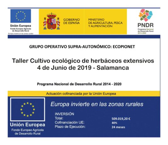 Ecopionet lanza un taller de herbáceos extensivos en ecológico el 4 de junio